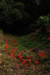 深淵への誘惑
