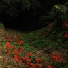 深淵への誘惑