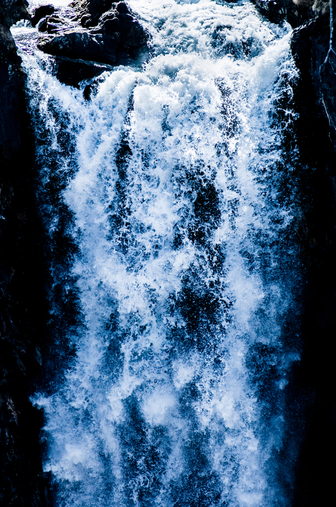 DSC_8427