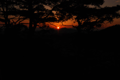 DSC_7432_526