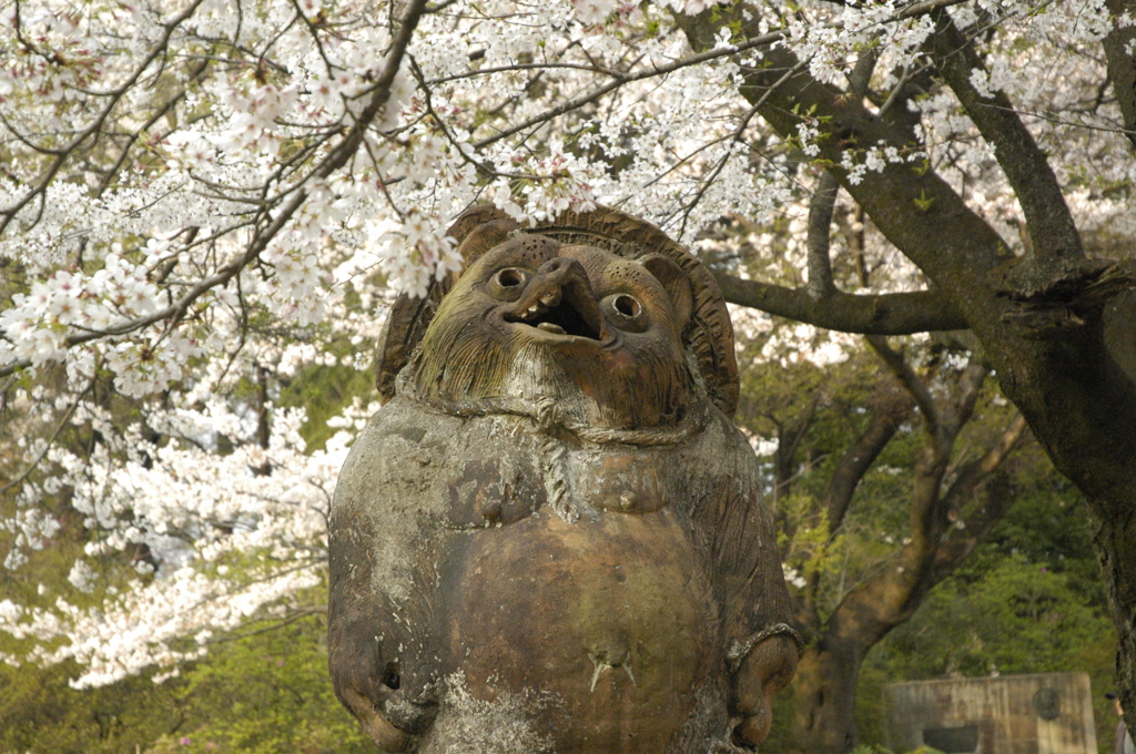 花見