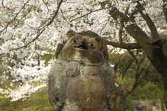 花見