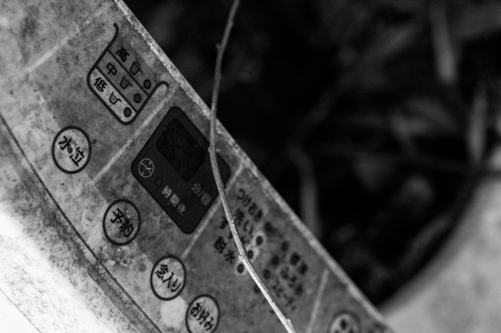 DSC_3709
