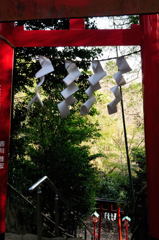 くぐってくぐって