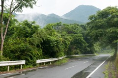 雨上がりの山道
