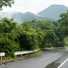雨上がりの山道