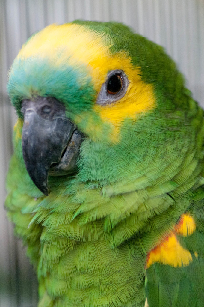 DSC_8018