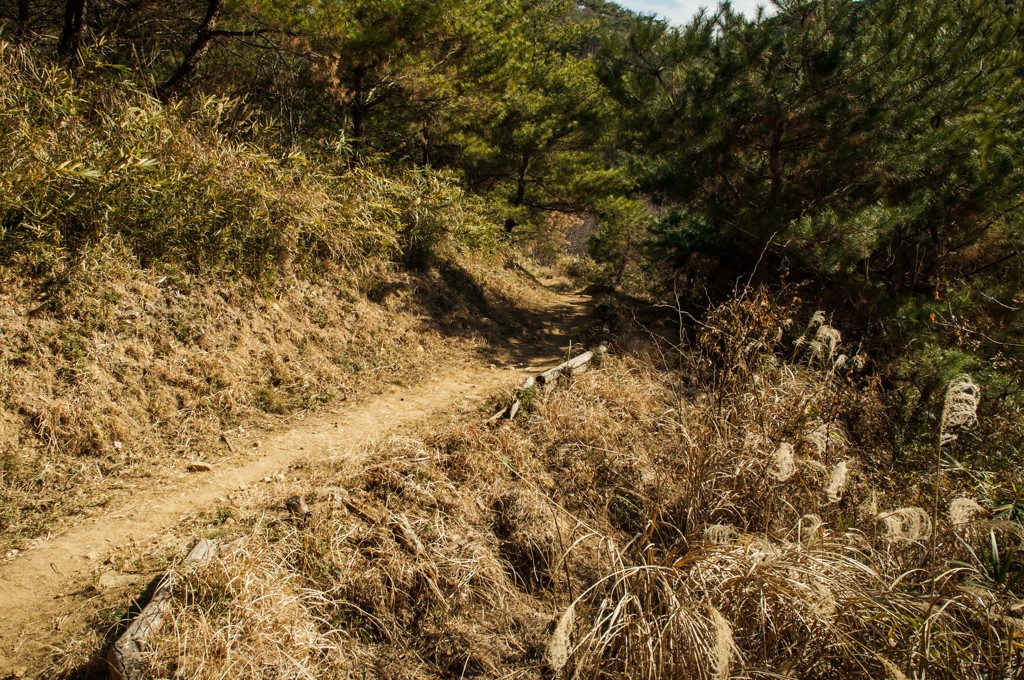舗装されたグンマーの道