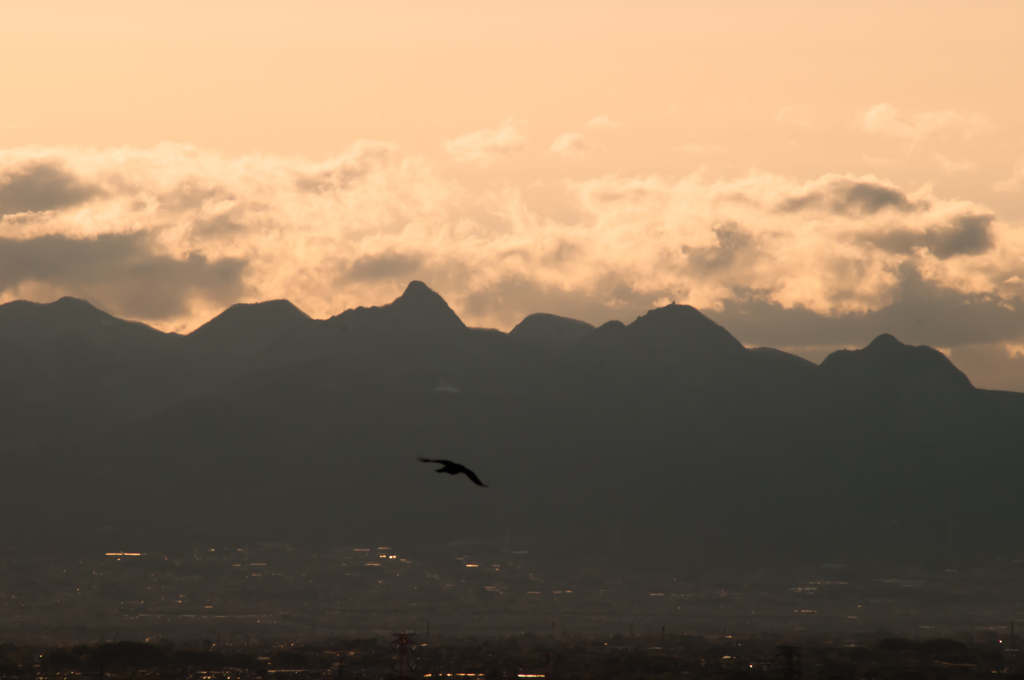 還っていく、幻へ