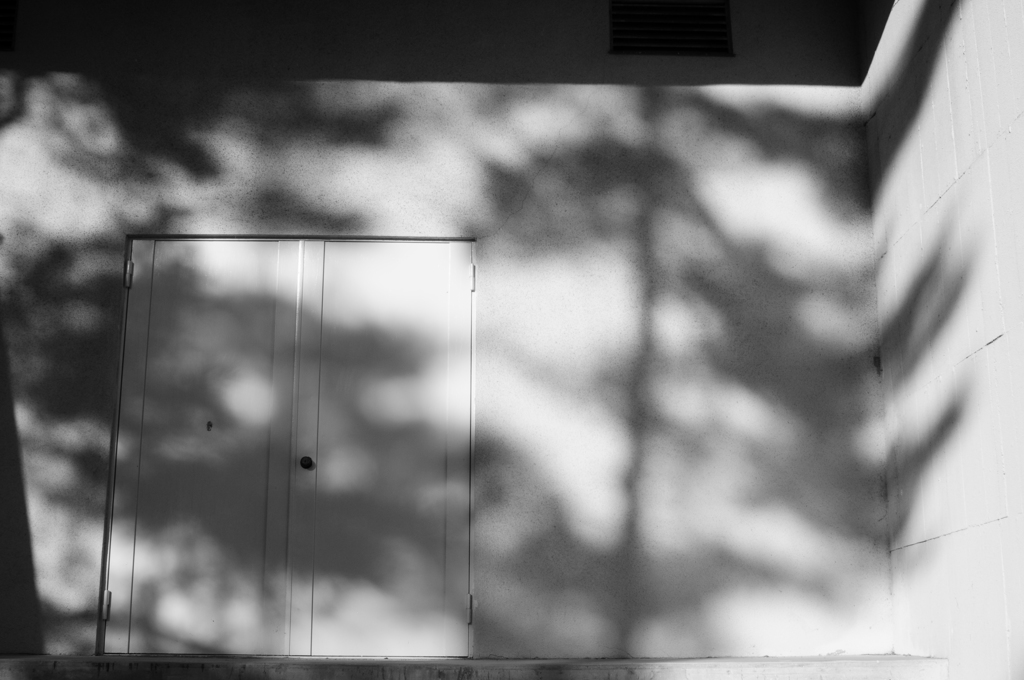 影に包まれるドア