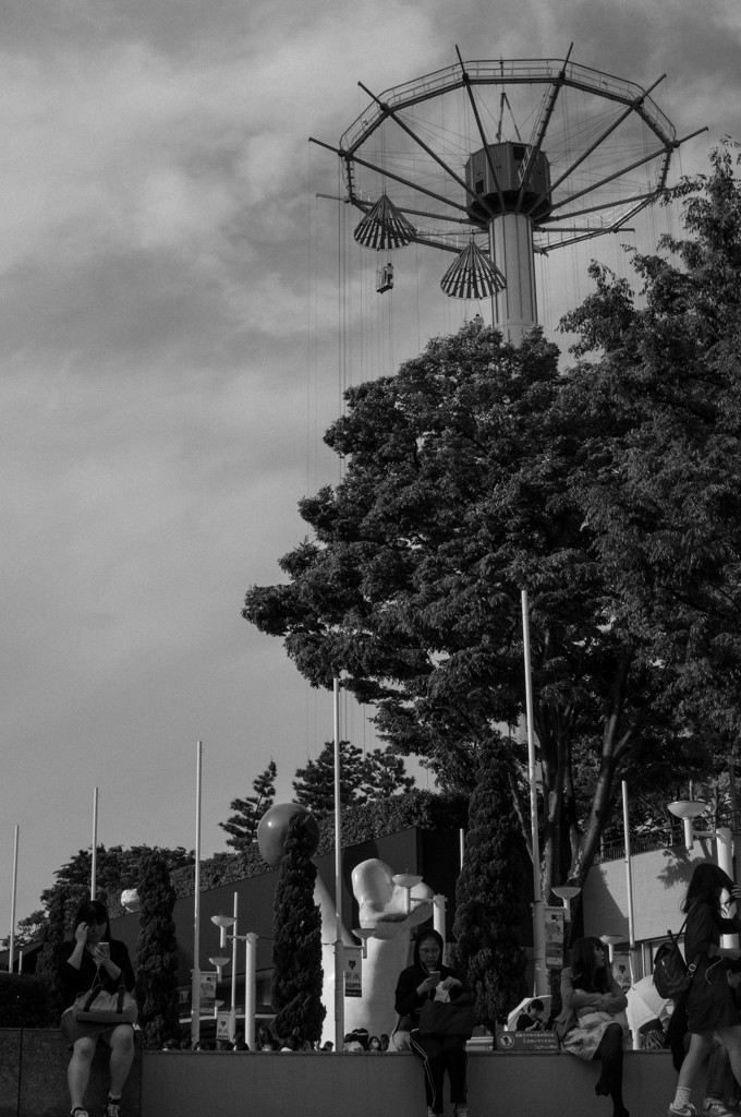 DSC_3781