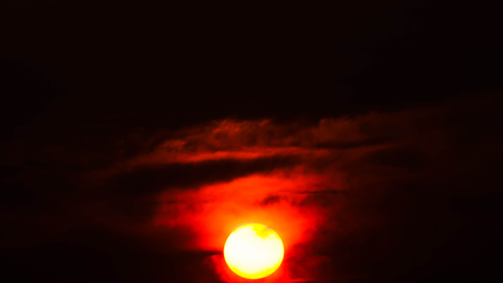 DSC_8689-2