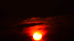DSC_8689-2