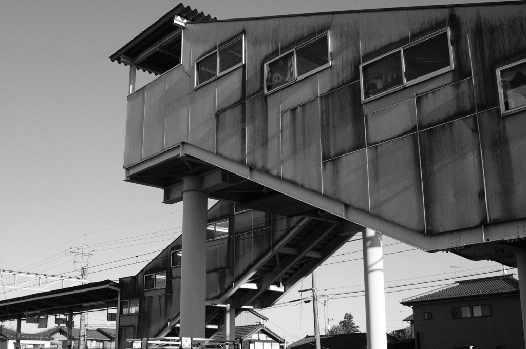 DSC_1542