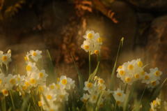 夕日に包まれて