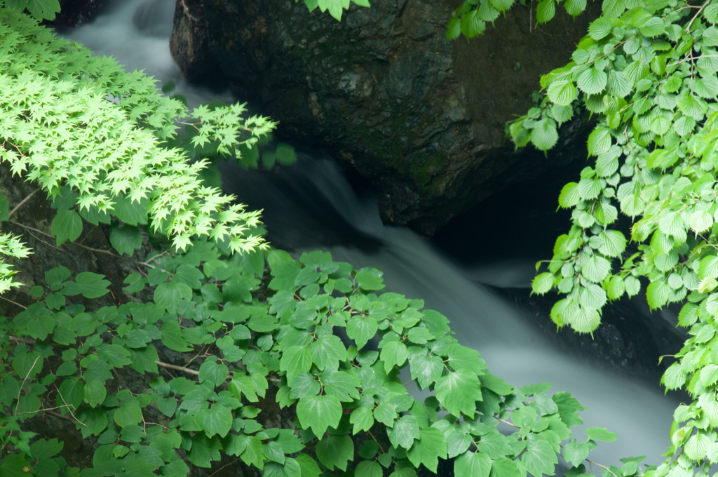 夏の雨上がりの水流