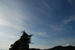 夏色爽やか