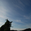 夏色爽やか