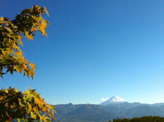 富士山見えた！