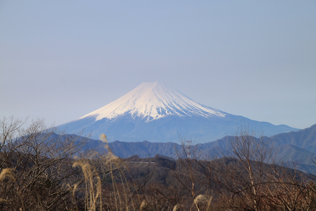 富士山