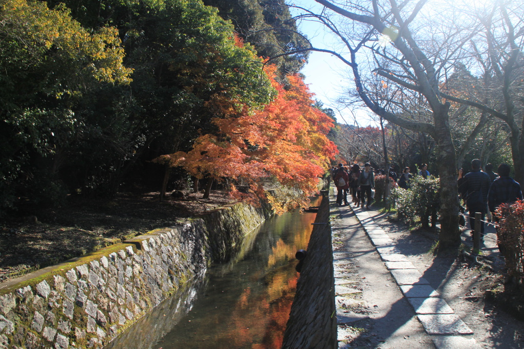 哲学の道　紅葉