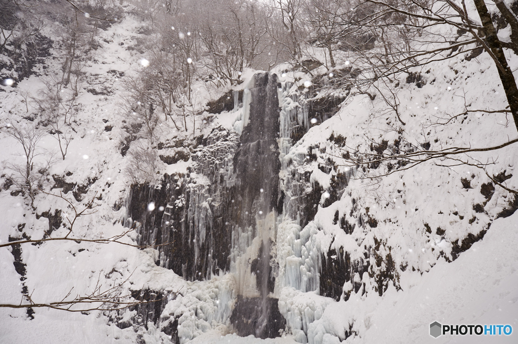 小雪舞う玉簾の滝