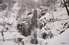 小雪舞う玉簾の滝