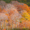 湯殿山の紅葉