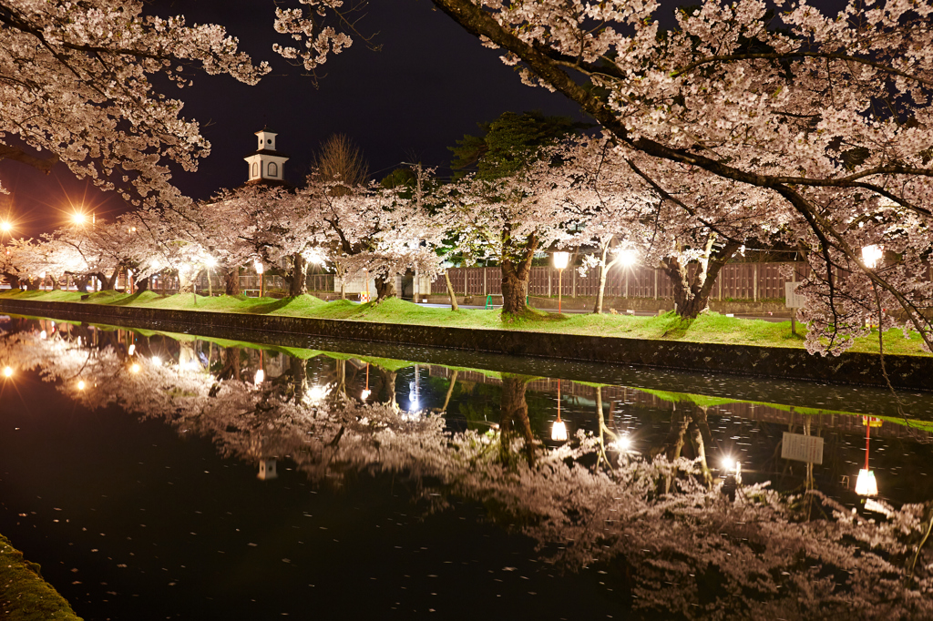 鶴岡公園の桜と致道博物館