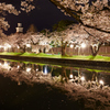 鶴岡公園の桜と致道博物館
