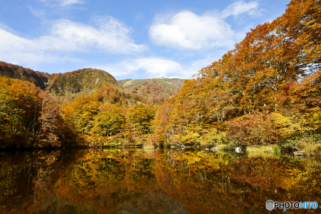 紅葉の鶴間池