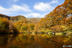 紅葉の鶴間池