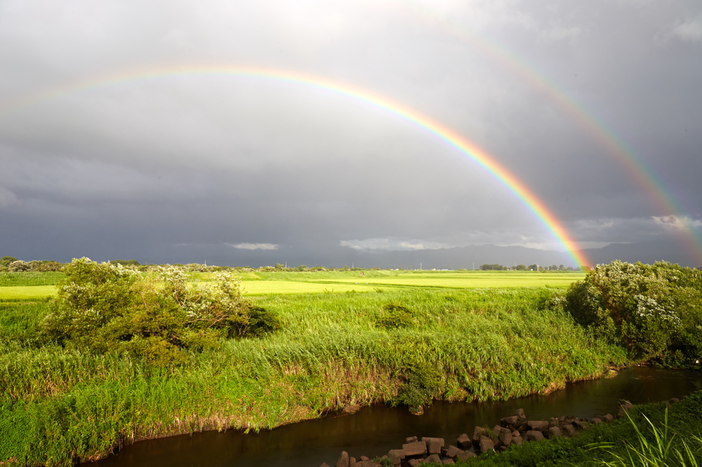 After a Typhoon Comes a Rainbow