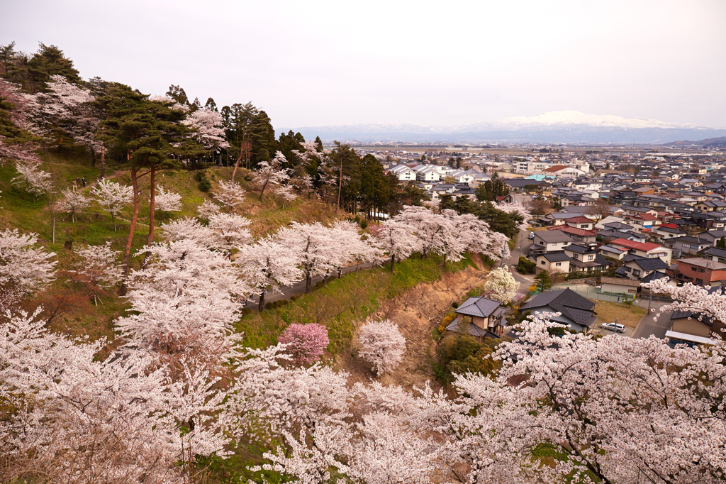 大山公園