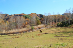 開田高原