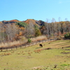 開田高原