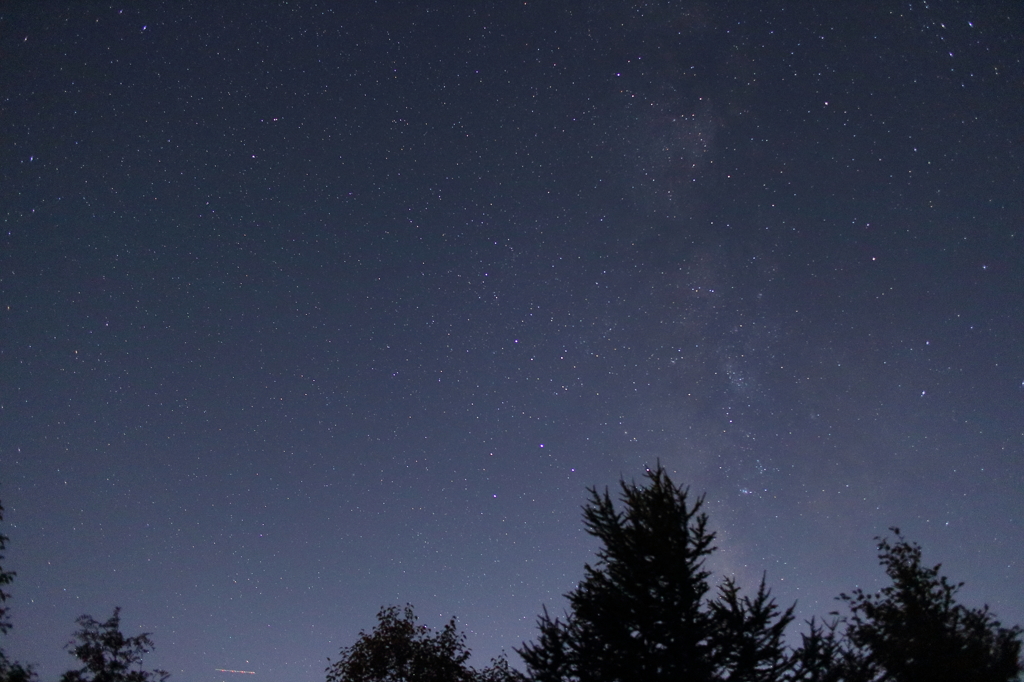 はじめての星とり