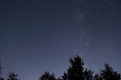 はじめての星とり