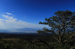IMG_0250_te