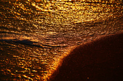金色の砂