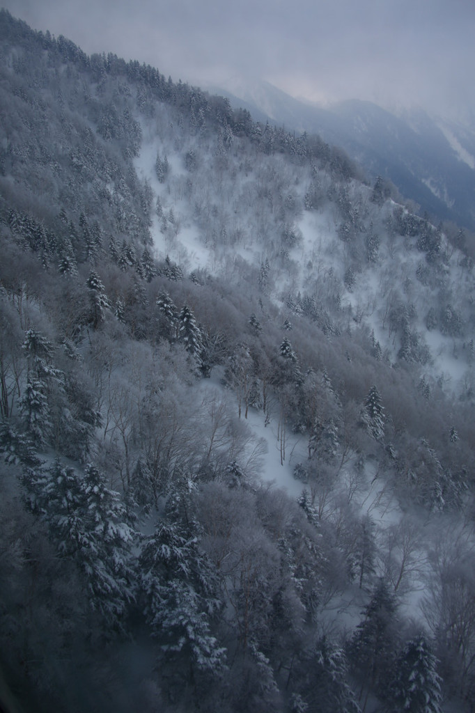 雪の森へ