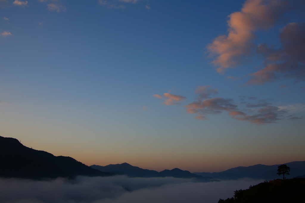 雲上の城