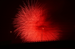 彼岸花