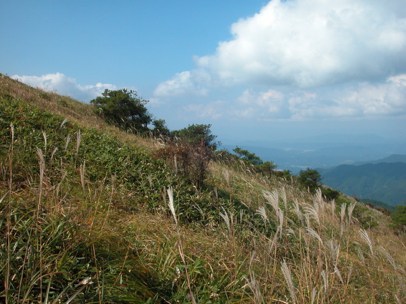 山頂の草原にて