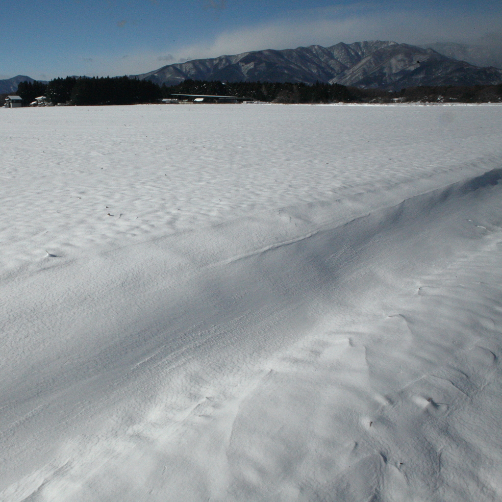 雪紋?