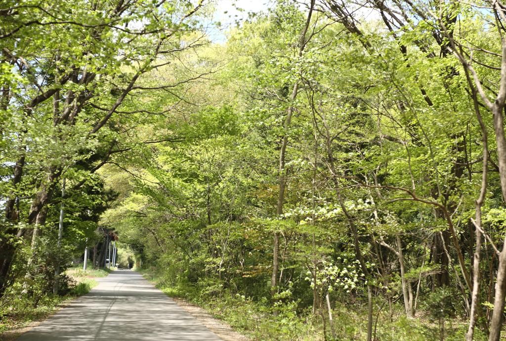 いつもの風景