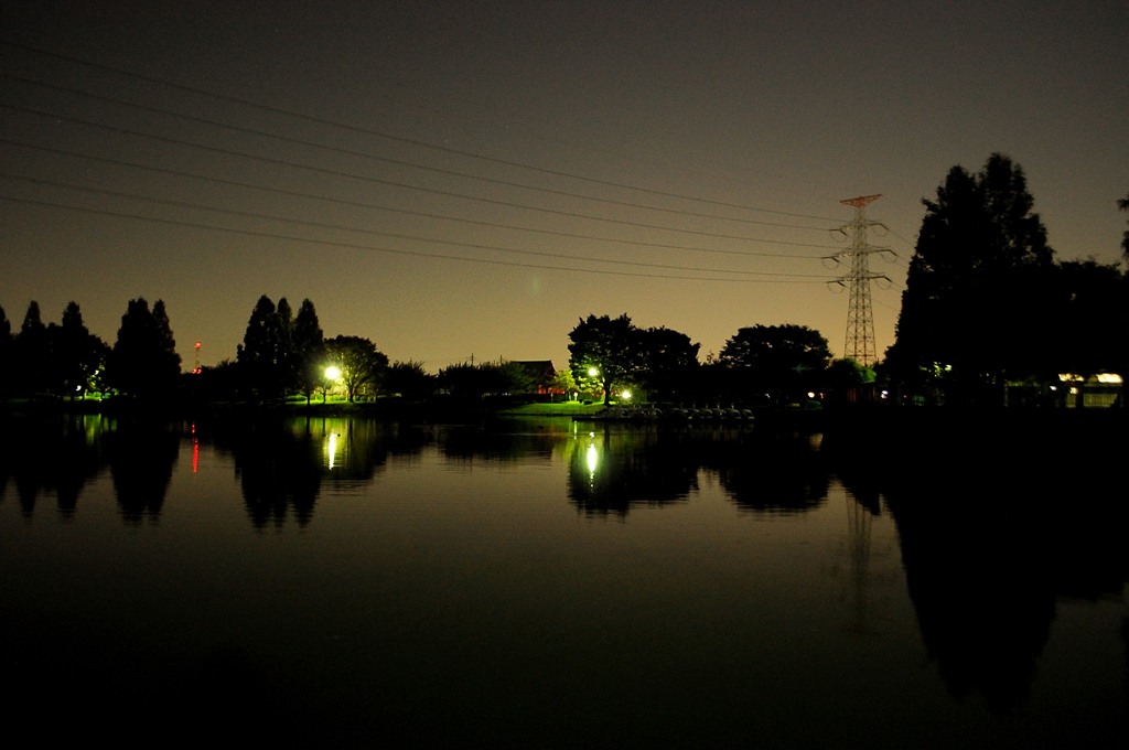 お散歩20121025