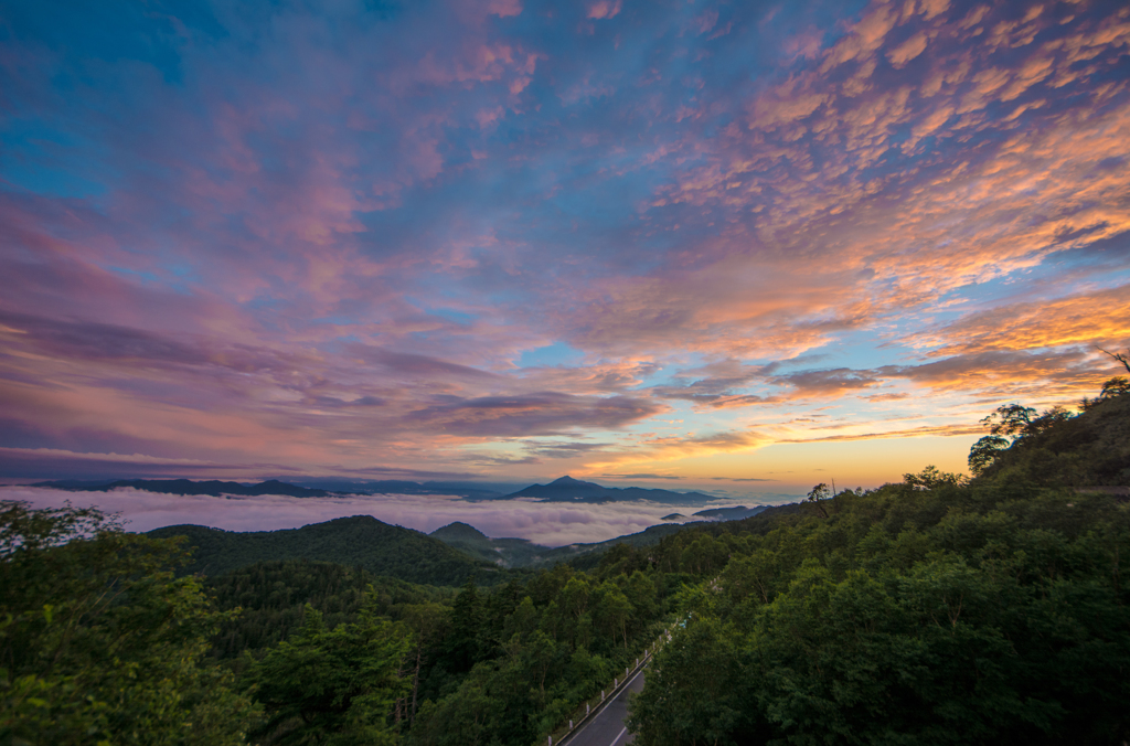 雲上の山