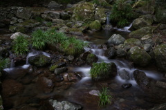 川