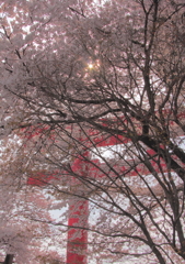 夢